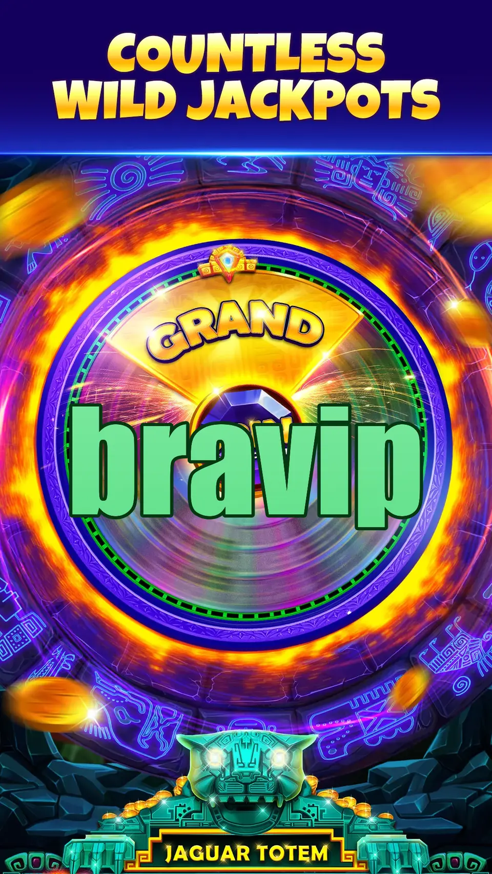 bravip APK