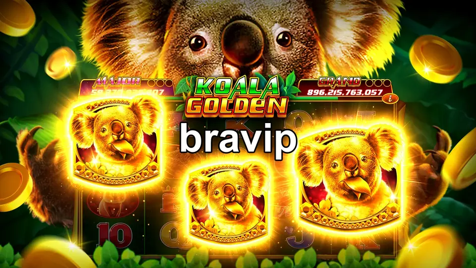 bravip Login