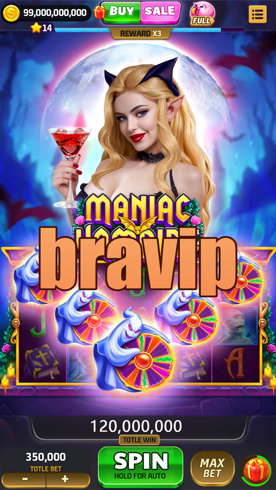 bravip Login