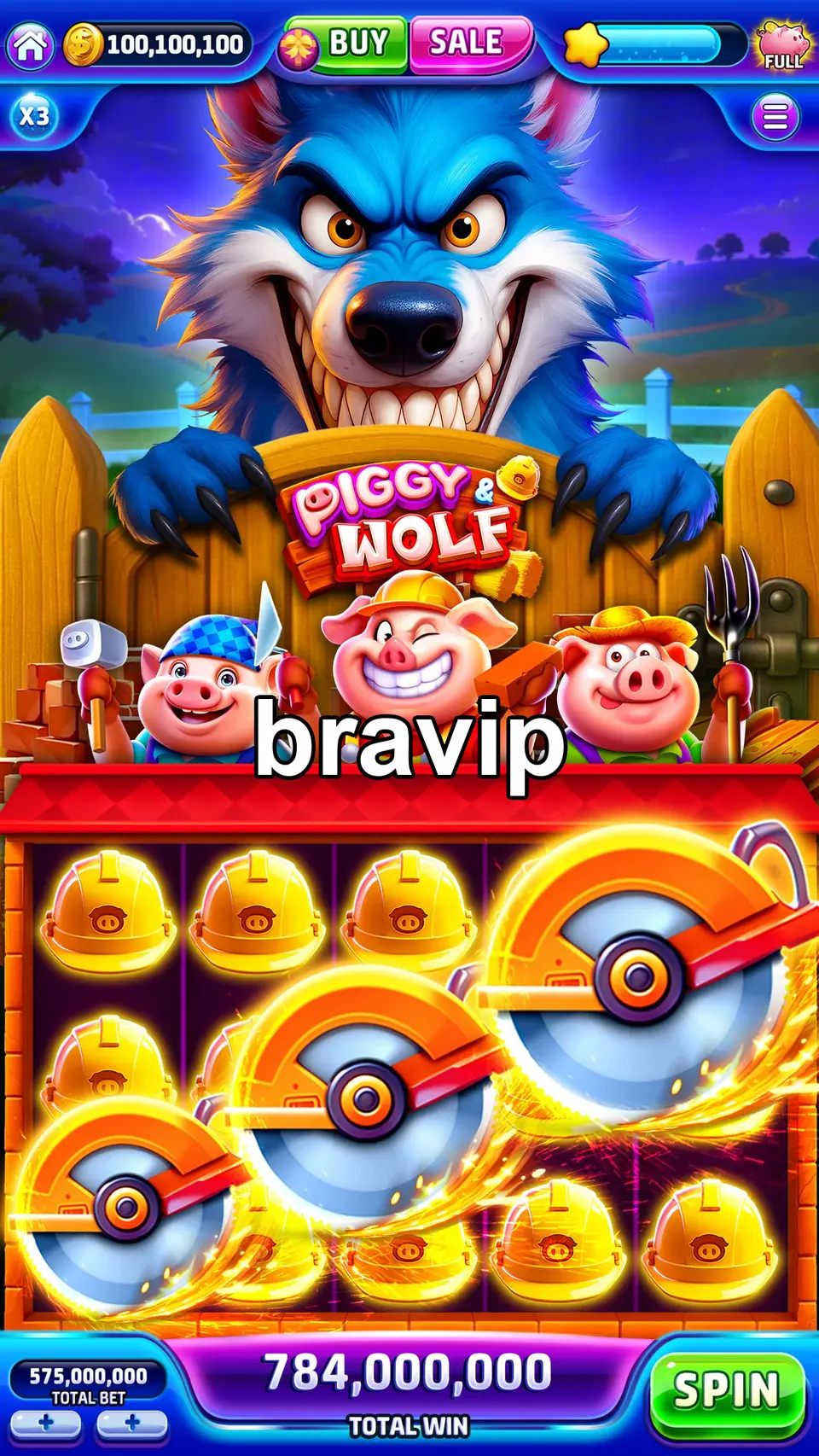 bravip Login