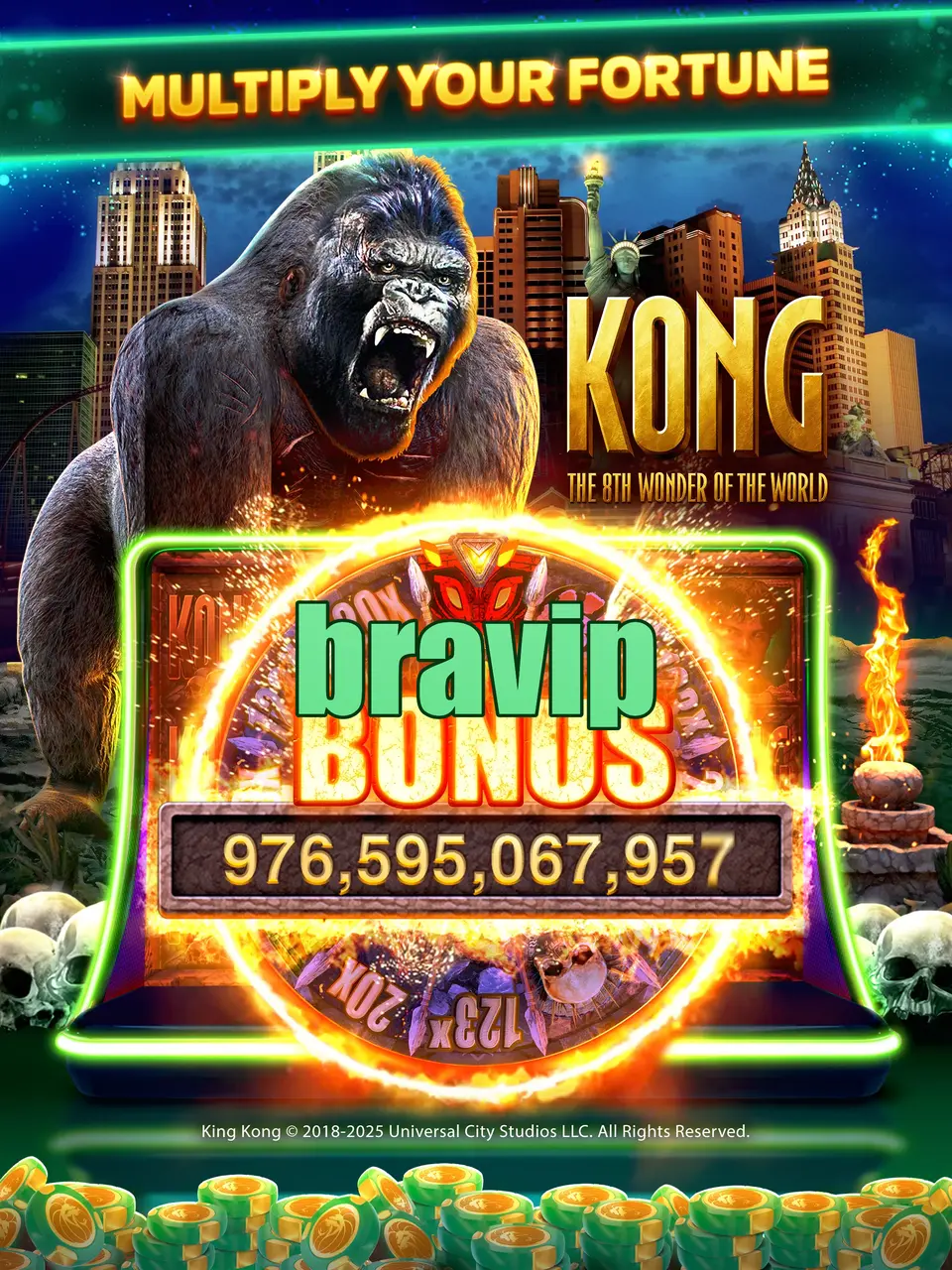 bravip Login